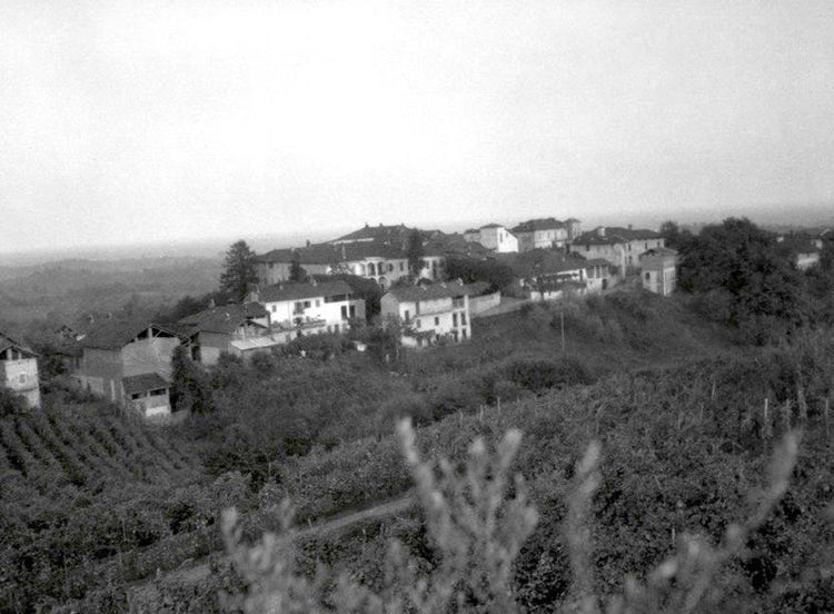 Tenute Sella